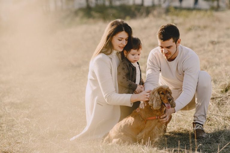 Familienhund-Ausbildung in kleiner Gruppe