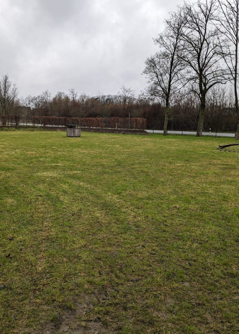 Naturgelände der Hundeschule MNA mit Blick auf Wald und Feld